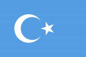 kokbayraq_flag-svg